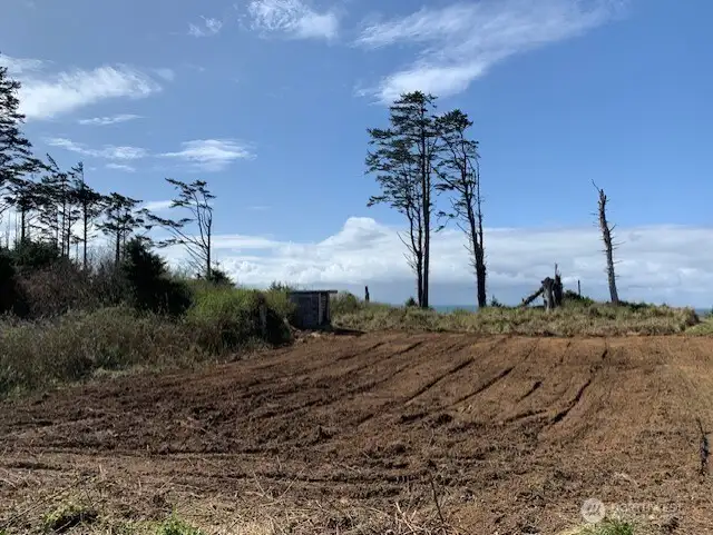 This view shows the North property line.