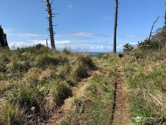Trail to back of property.