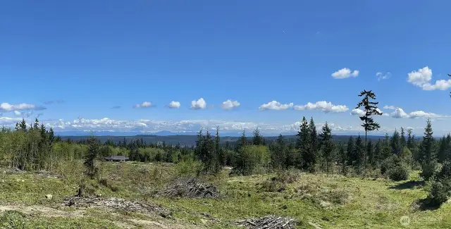 The view has expanded even more with the recent clearing from a neighbors lots.