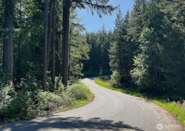 Follow beautiful Stonecrop Drive up to the property.