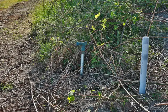 Private well head for the property.