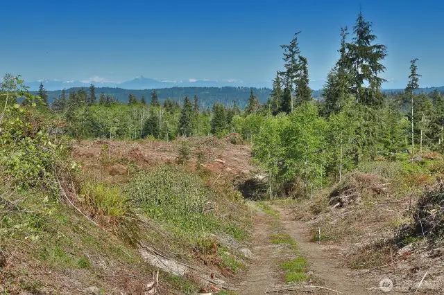 Road down the south side of the lot leads to the well head.