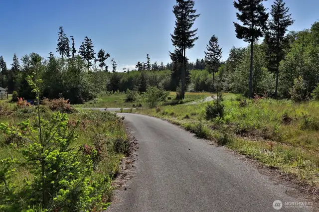 Looking from the driveway, west toward Woodland Lane.