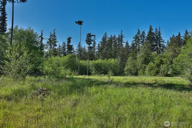 Looking northward from the property.