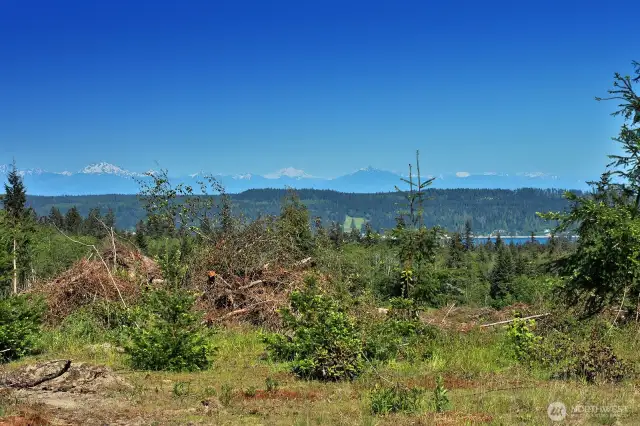 A gorgeous view of the snowcapped North Cascade Mountain Range awaits as you pull into the driveway.