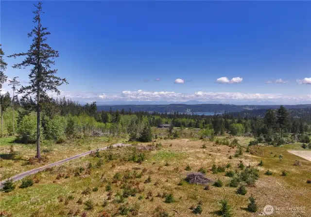View from the driveway.