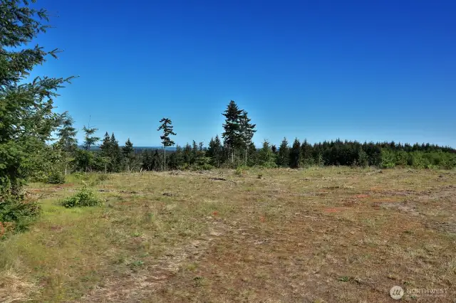 Looking southwest from the cleared building pad.