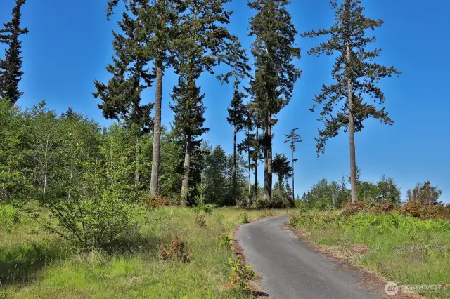 Approaching the property from Woodland Lane.