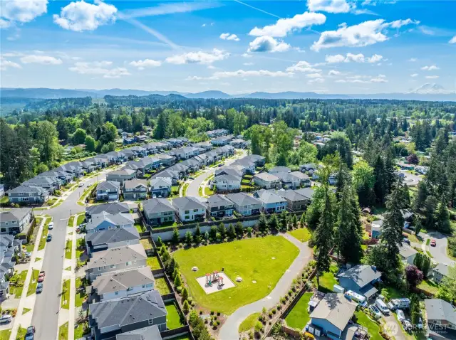 Only a few minute walk from your front door to the big Allura neighborhood park.