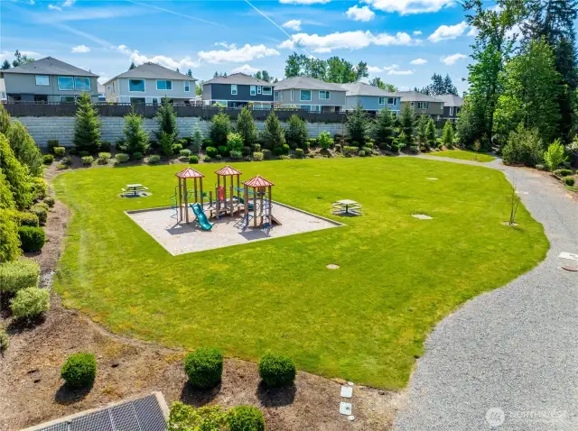 The neighborhood park has wide gravel walking paths, spacious flat grassy areas and picnic tables.  High-quality play structure with three slides, a climbing wall and multiple climbing and play stations.