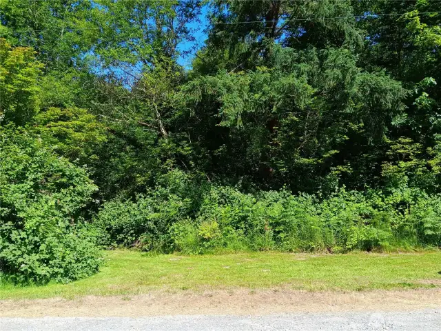 Property extends through the brush and out to the River.