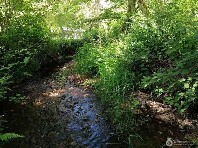 Creek runs through the front portion of property facing the road