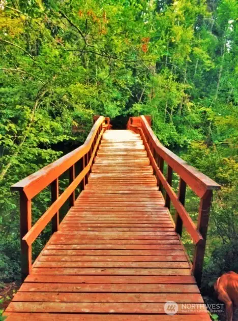 Bridge on the trail system.