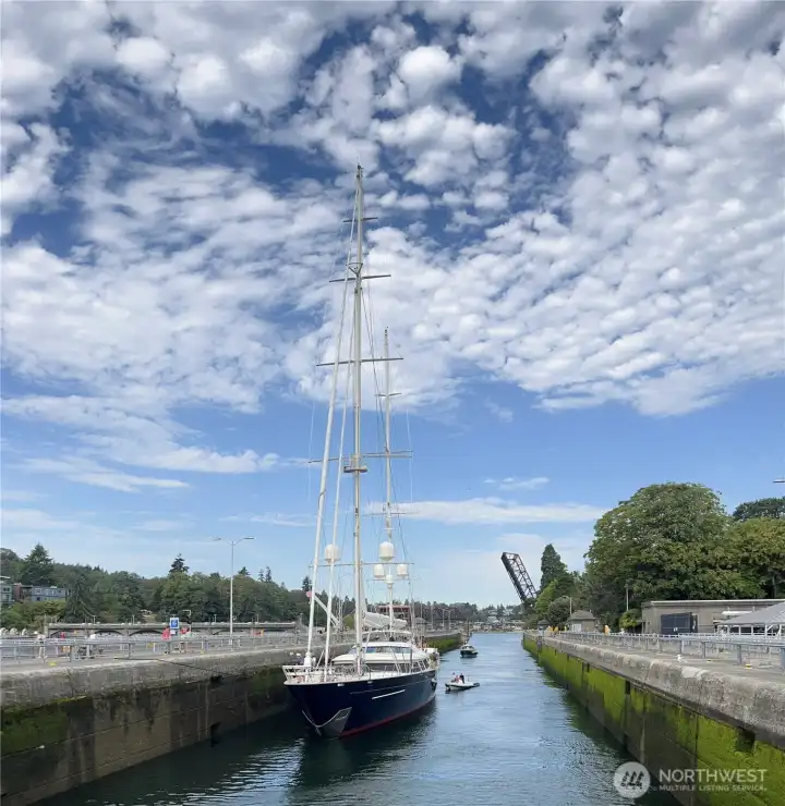 Chittenden Locks, salmon ladder and Carl J. English gardens are steps away.