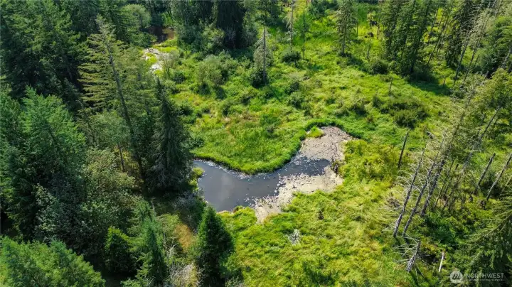 Beaver pond on the NW of property
