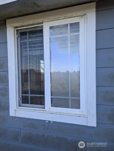 Some windows need repair/replaced