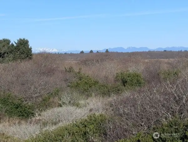 Beautiful mountain, bay and ocean views from 2nd and 3rd floors. Property backs up to nature preserve.