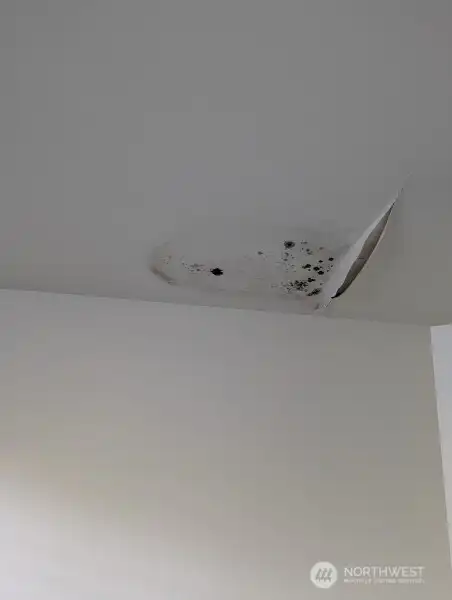 Several locations in the home have water intrusion/mold issues.