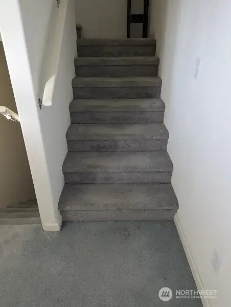 Carpet needs to be replaced