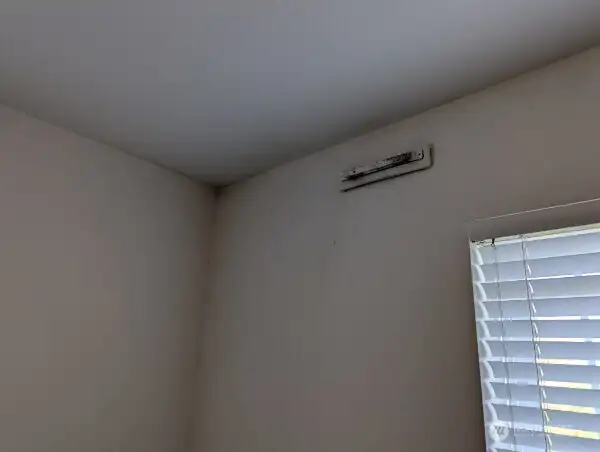 Mold remediation needed