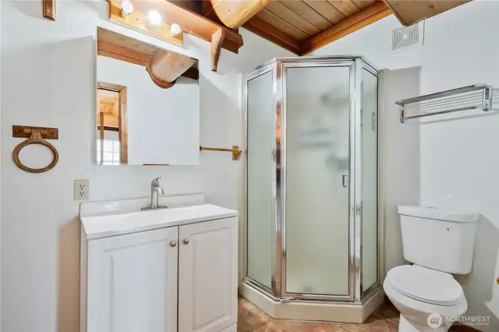 Downstairs guest bath