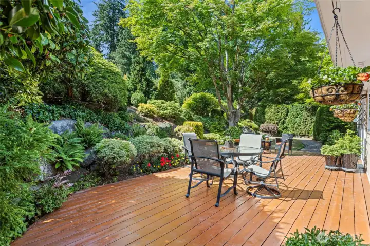 Absolutely beautiful backyard oasis