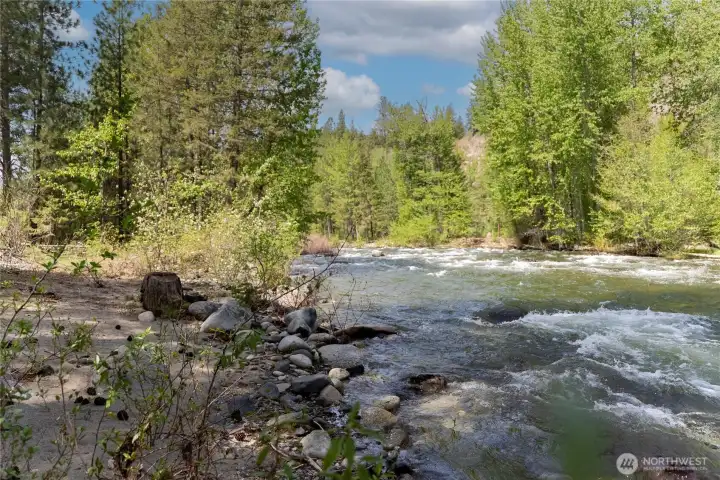 Watch kingfishers and merganser ducks skim along the water surface.