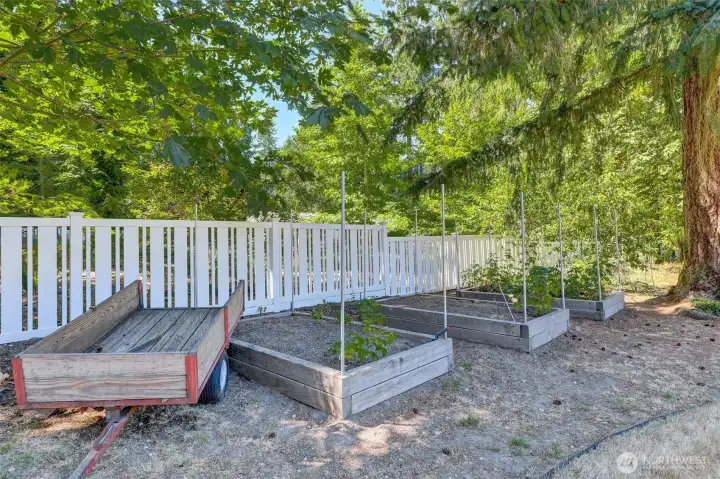 Back yard with raised garden beds.