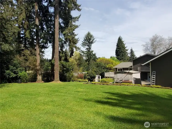 Backyard view highlighting the home’s rear elevation and inviting outdoor living area.