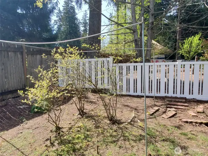 Seasonal Blueberries