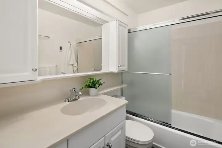 Main floor bath