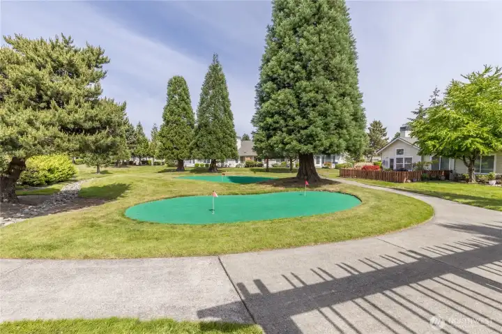 Another look at the community park area, showing the scenic walking paths and manicured putting greens.