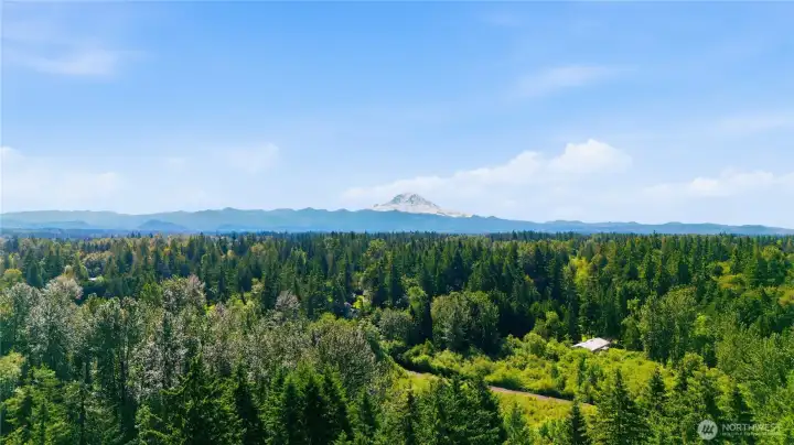 This home is extremely private, yet close to Lake Tapps, Lakeland Hills, Schools, Shopping, Outdoor Activities & Hwy 167! NO HOA!