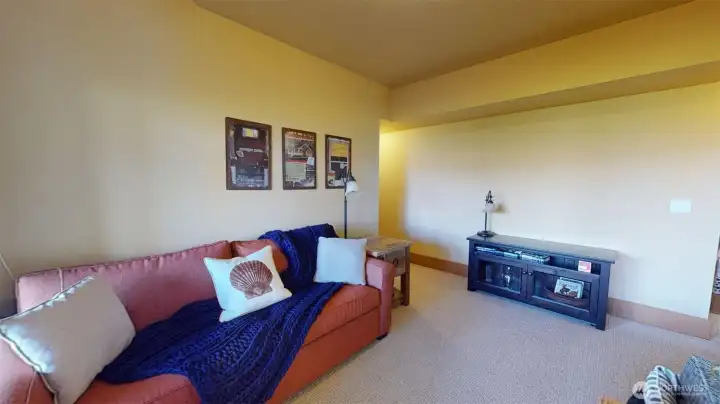 Lower Floor living room
