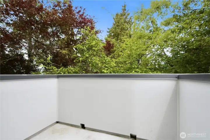 balcony looking out to lush green and Mountain Rainier at the far south distance balcony looking out to lush green and Mountain Rainier at the far south distance