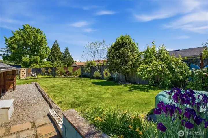 Landscaped backyard