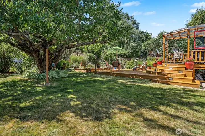 Space to roam in the back yard. Giant cherry tree provides ample shade on those hot Summer days. Space to roam in the back yard. Giant cherry tree provides ample shade on those hot Summer days.