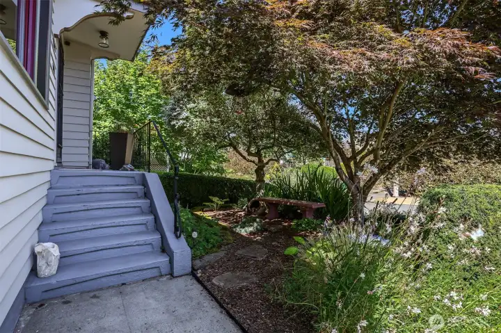 Front yard features a mature Japanese maple and many other flowering plants. Front yard features a mature Japanese maple and many other flowering plants.