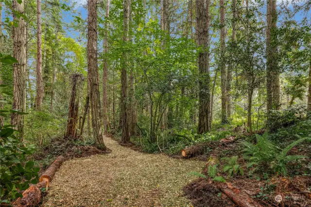 This clearing at the center of the trail represents a midpoint between Lot A and Lot B