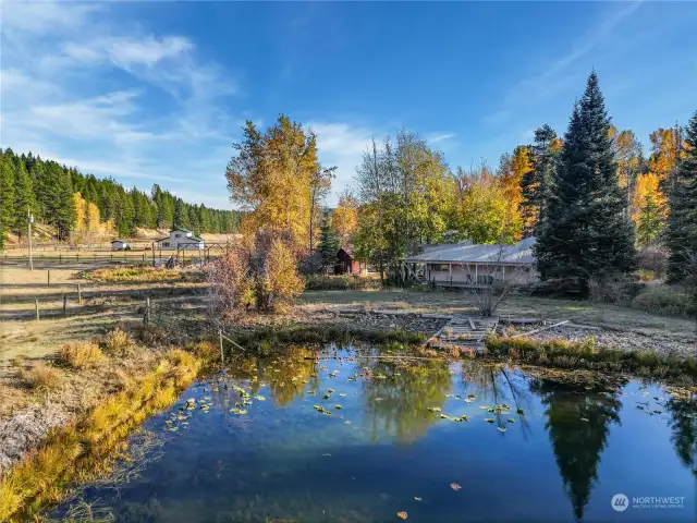 Private swimming hole just off the deck!
