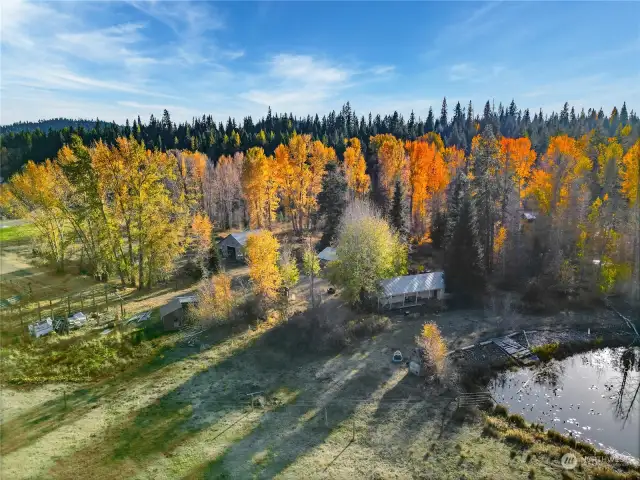 Pastures and pond