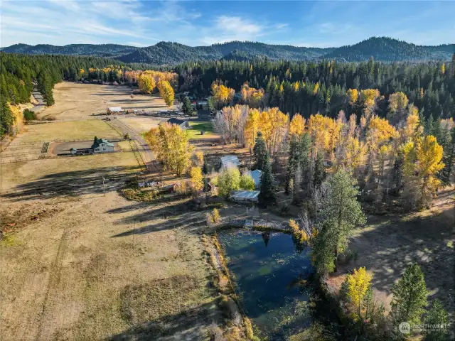 Large pond, pleanty of pasture