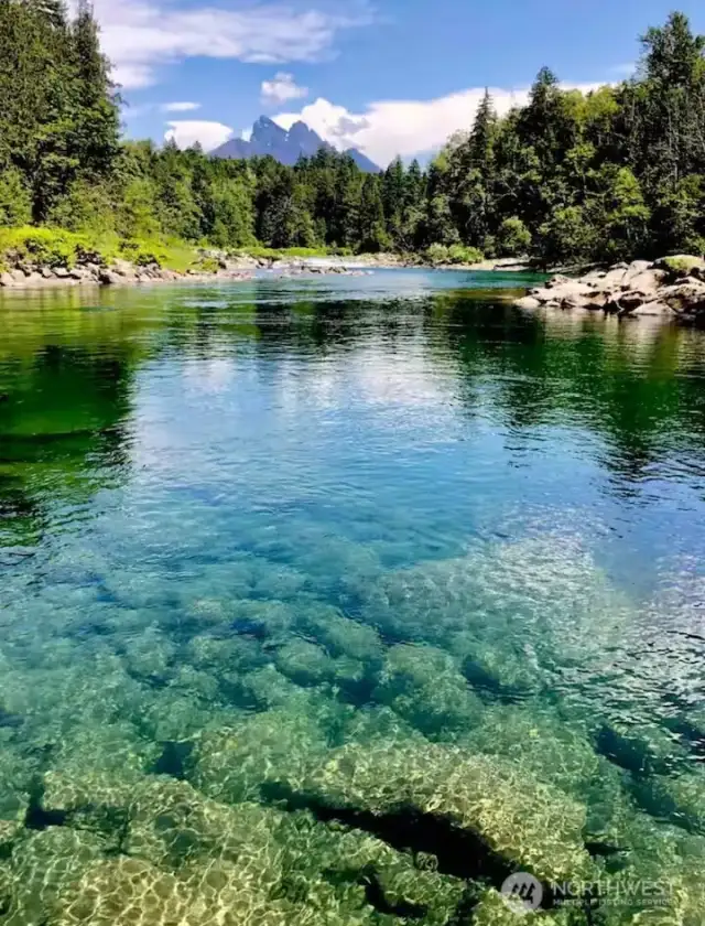 Swimming hole just a short hike from cabin.