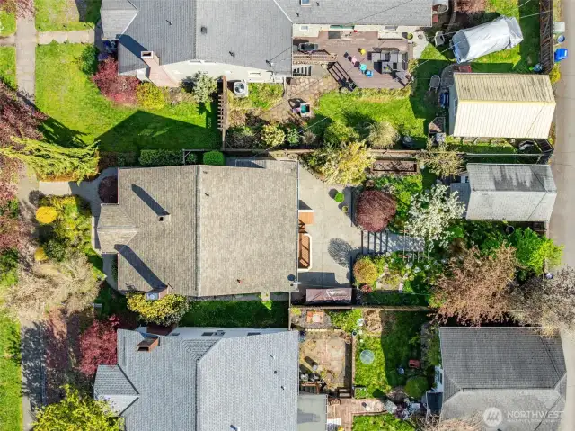 Aerial view captures the full layout of the home and backyard oasis—showcasing the lush landscaping, stone paths, and generous patio space.