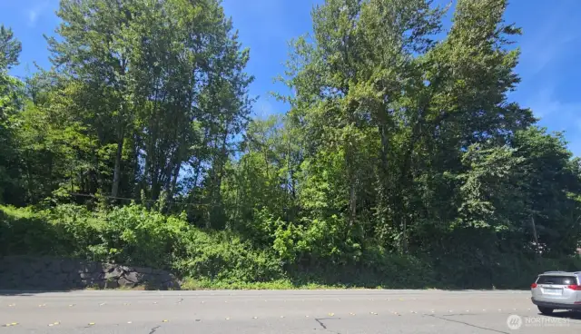 Looking at property from across Bothell Way.