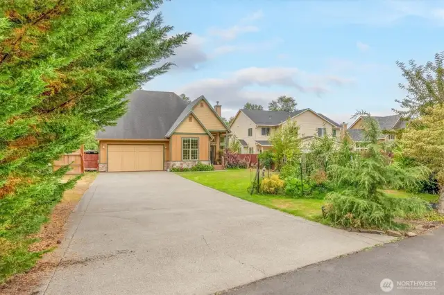 Concrete Driveway with fruit trees and flowers for privacy