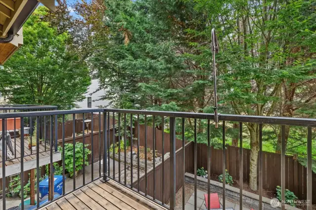 Deck overlooking leafy backyard space
