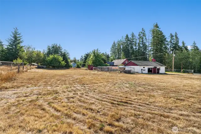 Back and side yard. Apple and cherry tree to left of house.