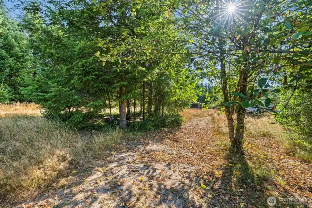 Pathway to barn.