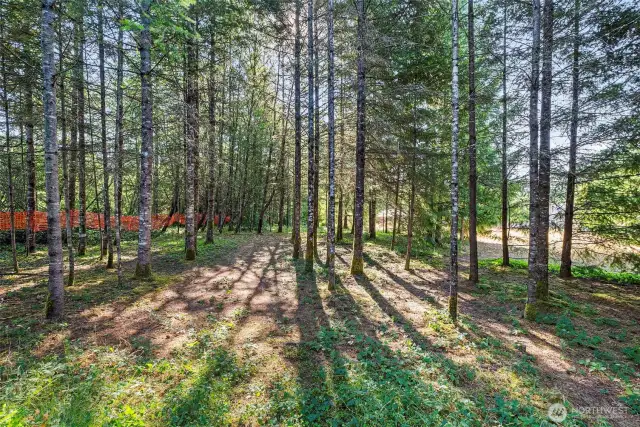 Trees on north side of property. Barn in far background.